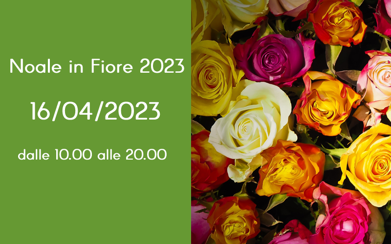 Noale in fiore 2023 @ Di Rocco