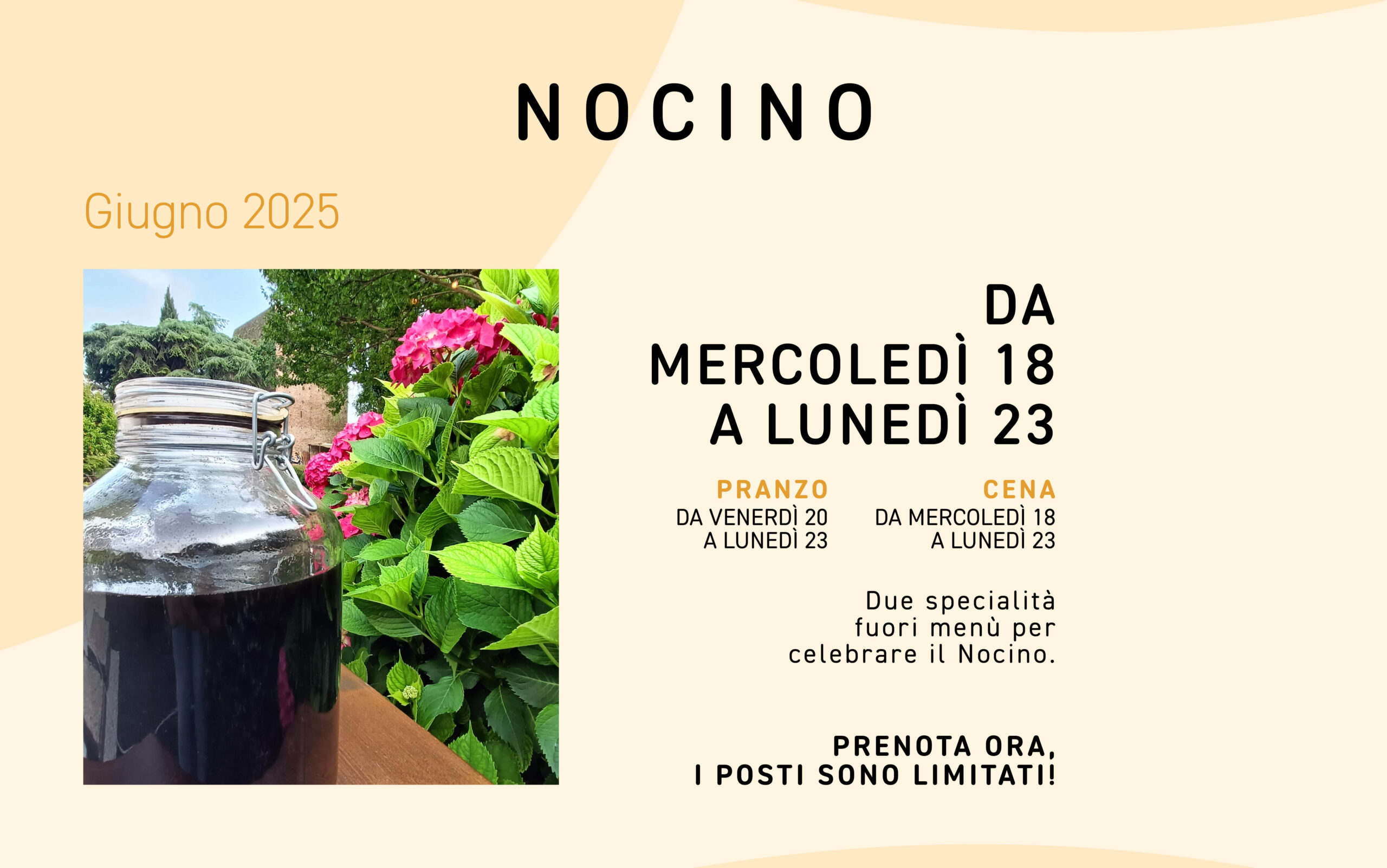Evento dedicato al Nocino dal 18 al 23 Giugno 2025